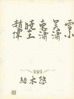 赵晓东吴雪晴郑伟王潇潇小说