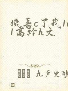 机长c了我1v1高干h文