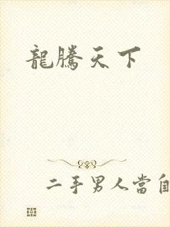 龙腾天下