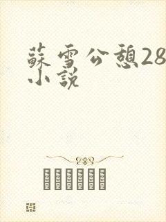 苏雪公憩28篇小说