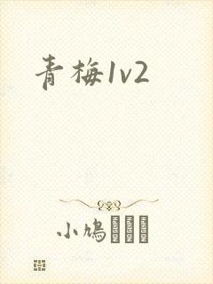 青梅1v2封面