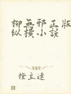 柳无邪正版全文纵横小说封面