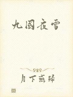 九国夜雪