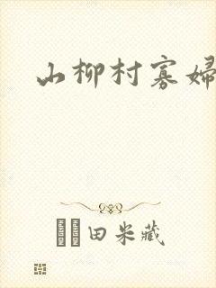 山柳村寡妇情史
