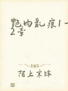 艳肉乱痕1一12章