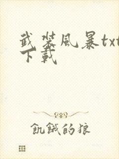 武装风暴txt下载