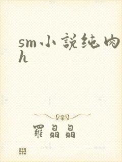 sm小说纯肉高h