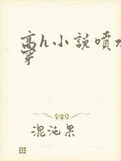 高h小说喷水快穿