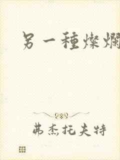 另一种灿烂生活封面