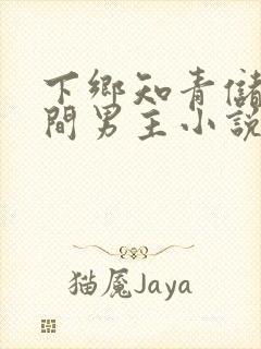 下乡知青储物空间男主小说封面