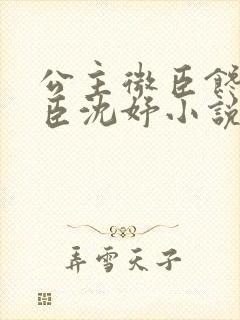 公主微臣馋了微臣沈妤小说