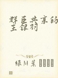 群臣共享的小公主银羽