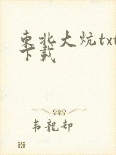 东北大炕txt下载封面