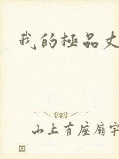 我的极品丈母娘