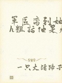 军区脔到她哭hh粗话他是疯批