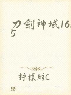 刀剑神域16.5封面