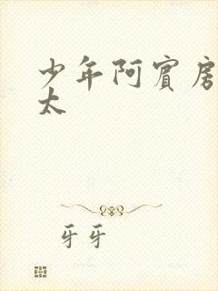 少年阿宾房东太太