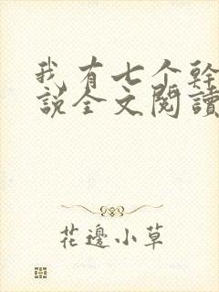 我有七个干妈小说全文阅读