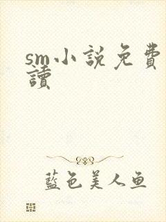 sm小说免费阅读