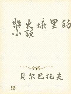 柴火垛里的疯狂小说封面