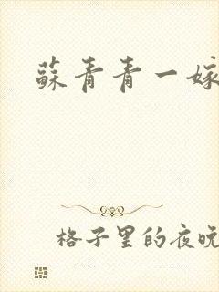 苏青青一嫁三夫封面