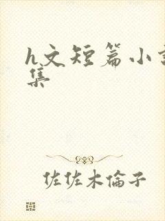 h文短篇小说合集