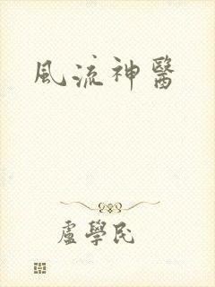 风流神医封面