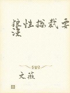 狼性总裁要够了没封面