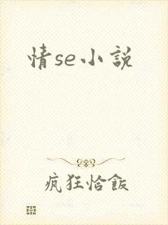 情se小说