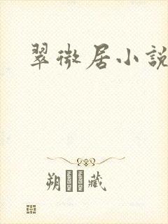 翠微居小说