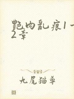 艳肉乱痕1一12章封面