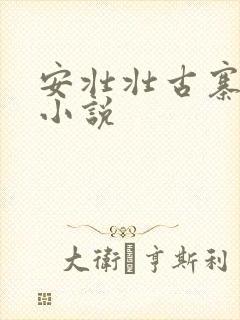 安壮壮古寨情缘小说