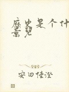 历史是个什么玩意儿封面