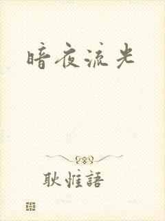 暗夜流光