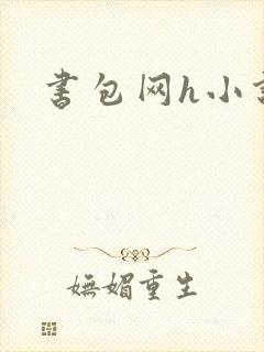 书包网h小说