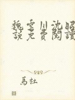 魏云川沈昭禾小说免费阅读笔趣阁