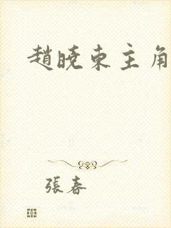 赵晓东主角小说