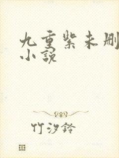 九重紫未删节版小说封面