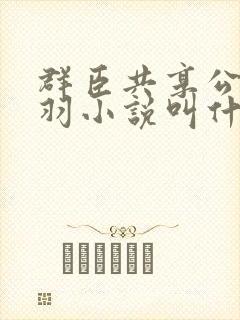 群臣共享公主银羽小说叫什么