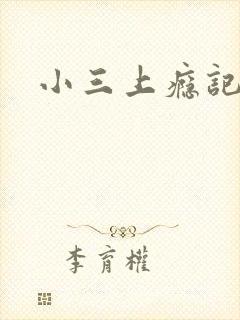 小三上瘾记封面