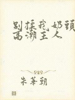 别揉我奶头嗯啊高潮主人封面