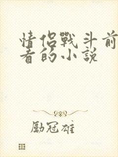 情侣战斗前适合看的小说