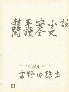 赵平安小说免费阅读全文