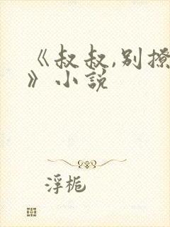 《叔叔,别撩我》小说封面