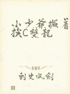 小少爷撅着屁股挨C双龙