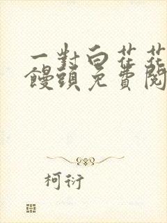 一对白花花的大馒头免费阅读