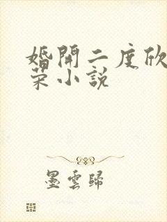 婚开二度欣欣向荣小说