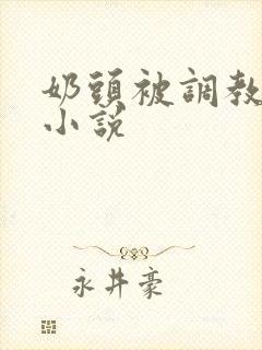 奶头被调教大的小说