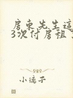 房东先生这是第3次付房租了封面