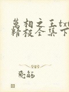 万相之王txt精校全集下载封面